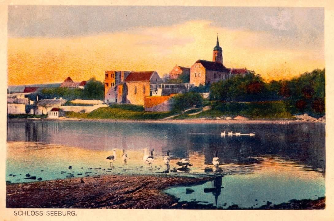 Gemalte historische Postkarte von Schloss Seeburg am Ufer des Süßen Sees